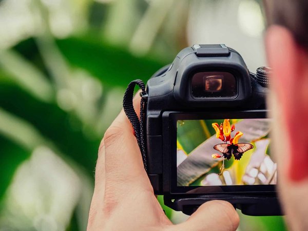 Comment se lancer avec succès dans la photographie de nature pour une reconversion ?